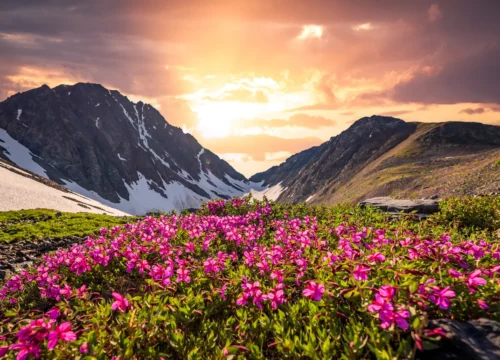 Valley of Flowers – Hemkund Sahib