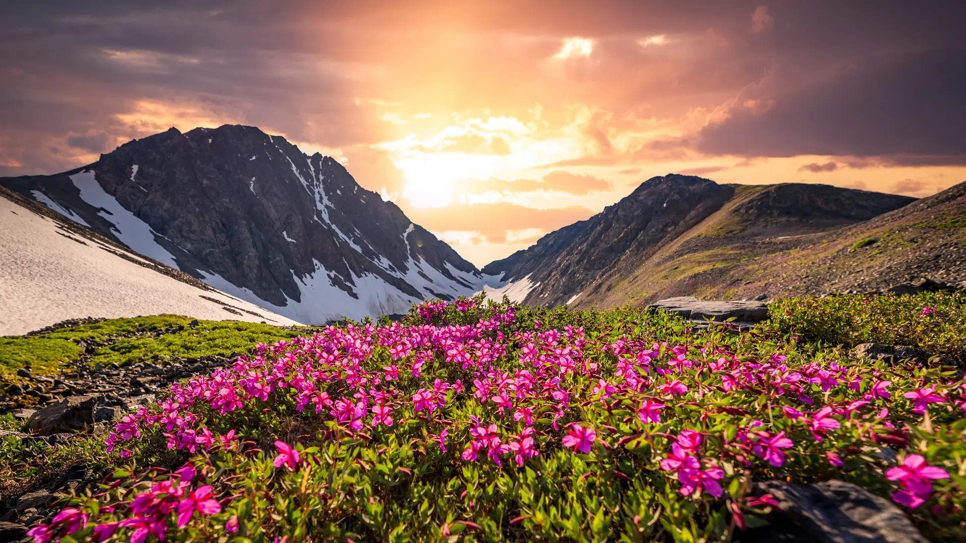 Valley of Flowers – Hemkund Sahib