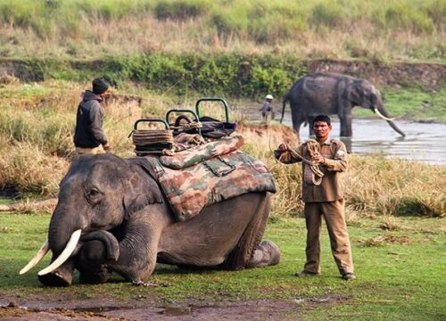 Delhi – Dehradun – Mussoorie – Rishikesh – Haridwar – Corbett – Delhi