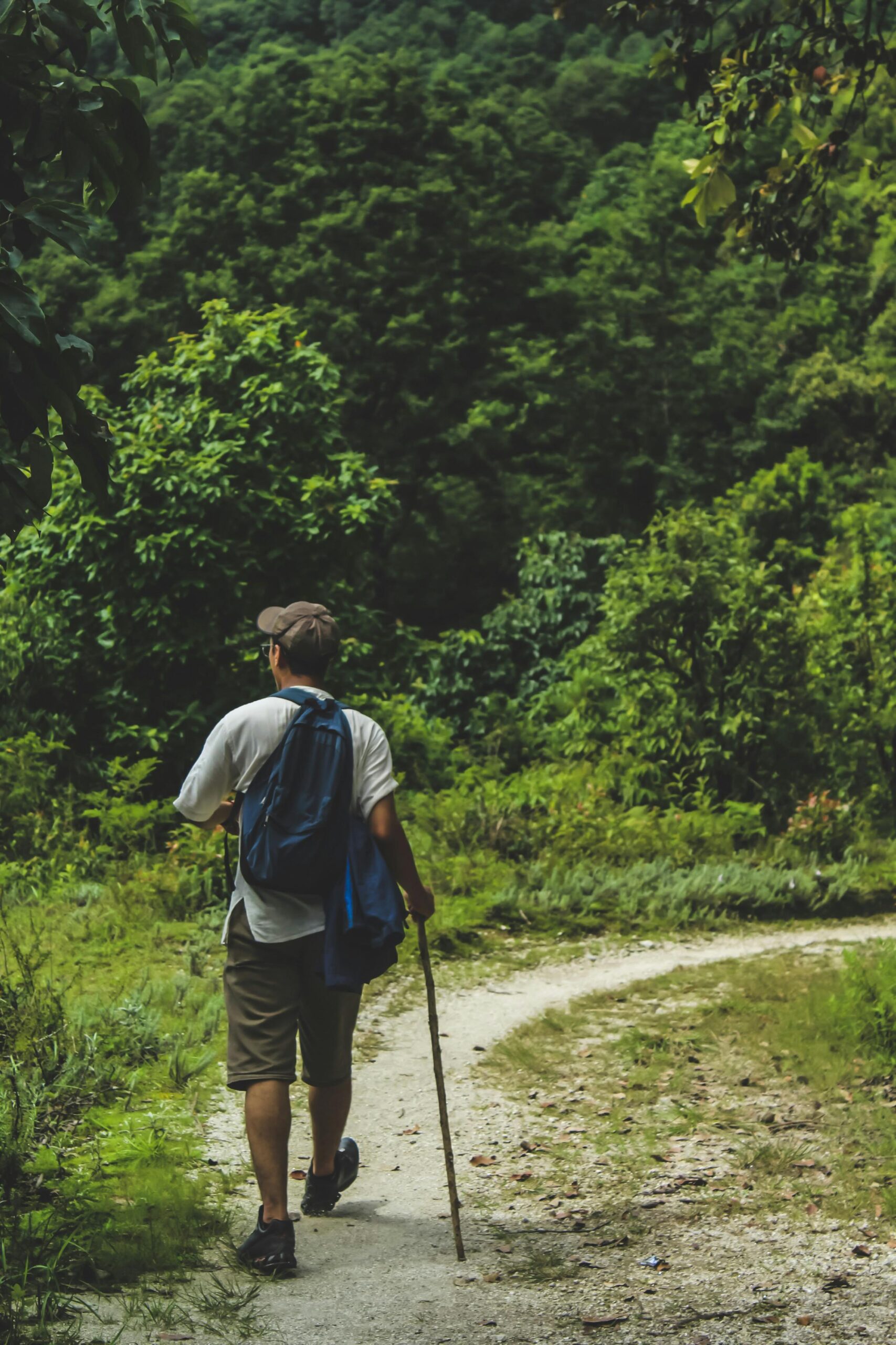 Trekking